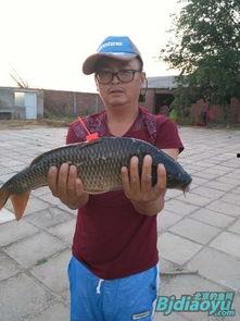 新瓜最新爆料钓鱼视频,钓鱼视频背后的惊人真相